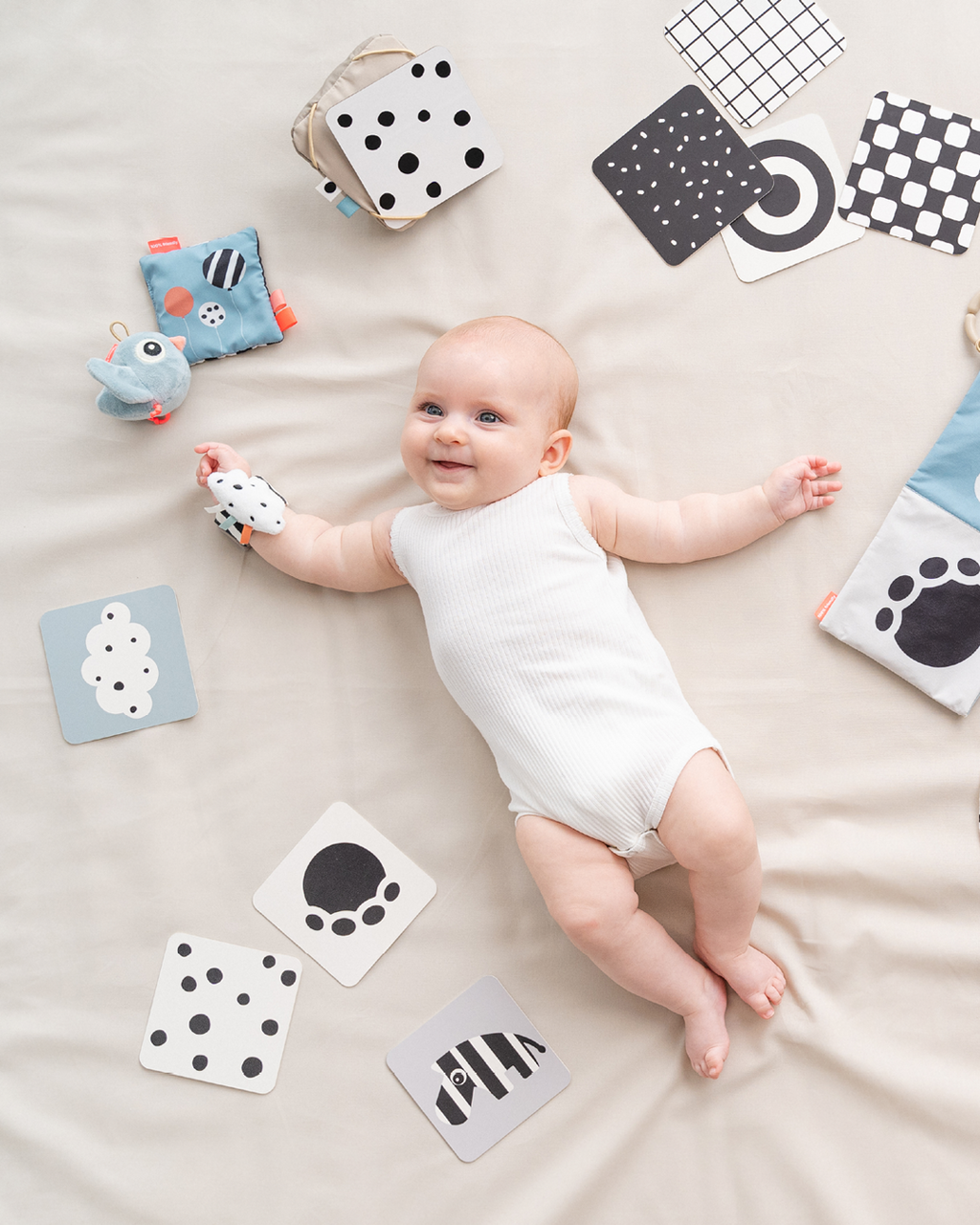 Lot 10 cartes aux motifs contrastés P'tits Loups Shop