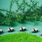 Bouteille sensorielle - Panda P'tits Loups Shop