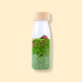 Bouteille sensorielle - Coccinelle P'tits Loups Shop