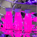 Bouteille sensorielle - Fluo rose P'tits Loups Shop