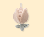 Chaine d'activités - Lovely Birds P'tits Loups Shop