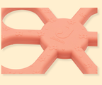 Anneau de dentition - Fleur P'tits Loups Shop