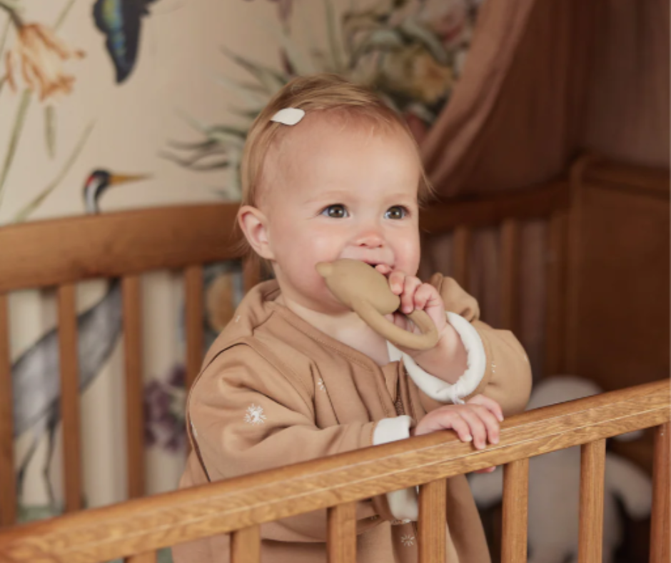 Anneau de dentition Teddy Bear - biscuit P'tits Loups Shop