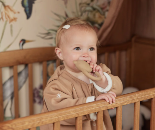 Anneau de dentition Teddy Bear - biscuit P'tits Loups Shop