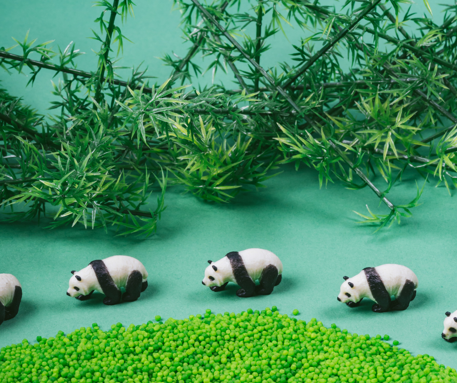 Bouteille sensorielle - Panda P'tits Loups Shop