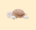 Jouet d'activités Tortue - Deepsea P'tits Loups Shop
