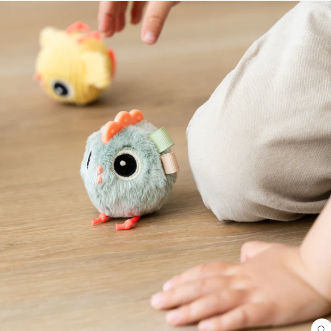 Jouet d'activités cache-cache – Poule P'tits Loups Shop