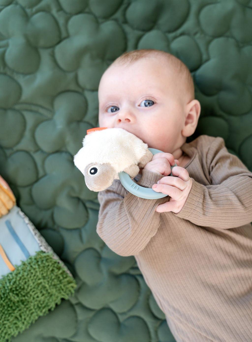 Hochet avec anneau de dentition - Sheepy P'tits Loups Shop